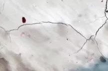 首页-UG全球视讯厅官方网站