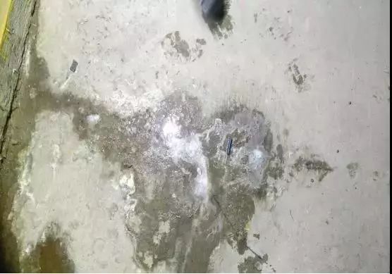 首页-UG全球视讯厅官方网站