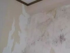 首页-UG全球视讯厅官方网站