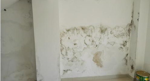 首页-UG全球视讯厅官方网站