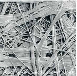 首页-UG全球视讯厅官方网站