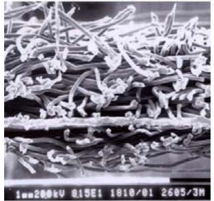 首页-UG全球视讯厅官方网站