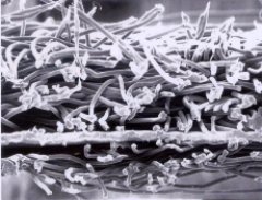 首页-UG全球视讯厅官方网站