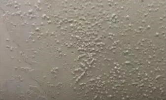 首页-UG全球视讯厅官方网站