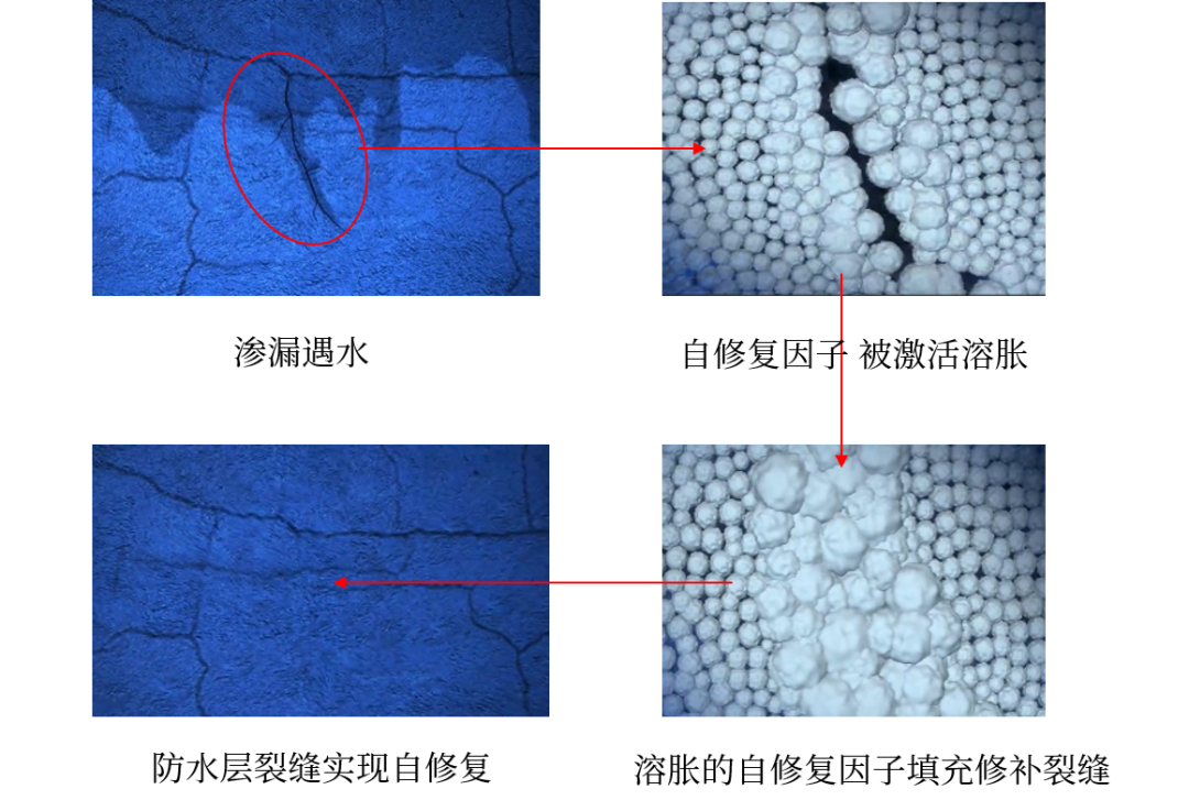首页-UG全球视讯厅官方网站